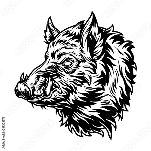 Vintage wild boar head with tusks