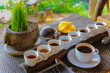 Luwak Coffee & Tea testing, Bali