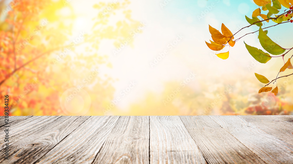 Autumn leaves on wooden table sunset background with copy space Stock ...