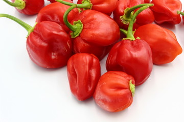 Scotch Bonnets