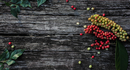   Beautiful berries and wood background images