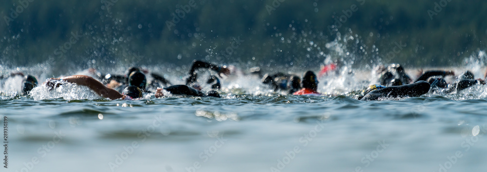 Triathletes swimming in a lake at a triathlon competition - obrazy, fototapety, plakaty 