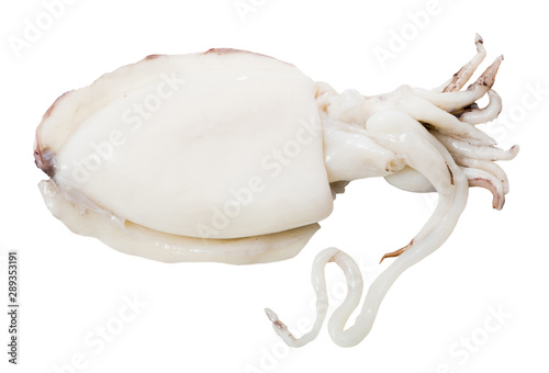 Fotografía Image of raw sepia isolated on clear white background