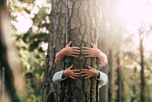 Cuadros en Lienzo Environment people save the planet and stop deforestation concept with hidden co