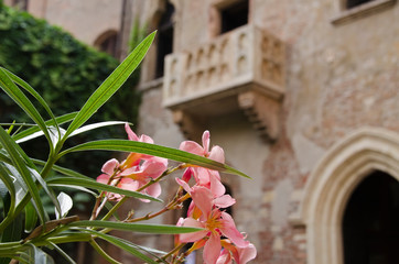 Romeo julet balcon, verona italy