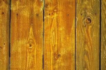 vintage wood background texture with knots and nail holes.