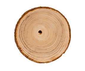 Wall Mural - wood slice cut from a tree. textured surface with rings and cracks. neutral brown background made of