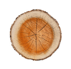 Wall Mural - big tree trunk slice cut from the woods. textured surface with rings and cracks. neutral brown backg