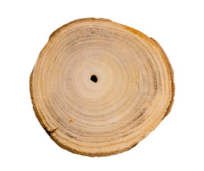 Wall Mural - wood slice cut from a tree. textured surface with rings and cracks. neutral brown background made of
