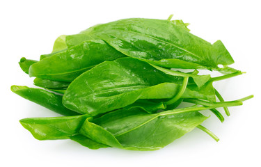 Wall Mural - Fresh sorrel on white background