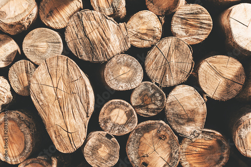 Moody shot of stack of logs putted as a wall. Tableau sur Toile