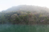 Fototapeta Las - 朝靄に包まれた緑の水の湖