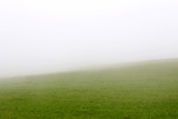 Fototapeta Sport - Un prairie dans la brume
