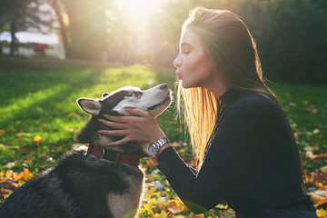 Young beautiful girl playing with her cute husky dog pet in autumn park covered with red and yellow fallen leaves