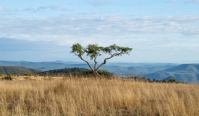 kwazulu-natal landscape