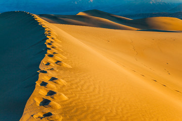 Sticker - The chains of footprints in the sand