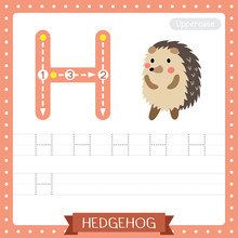 Letter H Uppercase Tracing Practice Worksheet. Hedgehog Standing On Two Legs