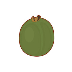 Sticker - Vector illustration of kiwi fruit