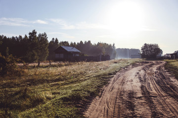 Canvas Print - Road leading to forest in the early morning