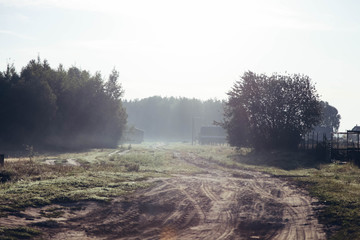 Canvas Print - Road leading to forest in the early morning