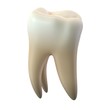 © Shiva3D - 3D render of single molar tooth isolated on white