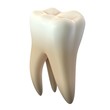© Shiva3D - 3D render of single molar tooth isolated on white