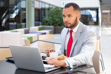 Wall Mural - Serious businessman using laptop and looking away in cafe. Business man sitting at table with food and working on project. Wi-Fi concept