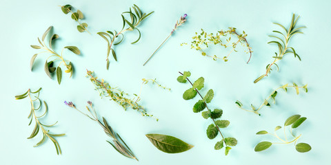 Culinary aromatic herbs on a teal blue background, cooking pattern, panoramic overhead shot