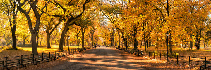 Wall Mural - central park panorama in autumn, new york city, usa