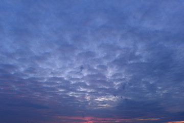 Wall Mural - Sky in blue glowing cirrus clouds in the twilight