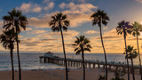 Fototapeta  - Palm trees at sunset on the California beach. Manhattan beach, los Angeles.