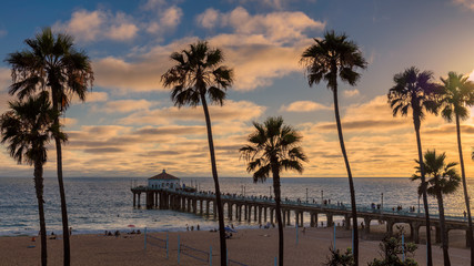 Wall Mural - Palm trees at sunset on the California beach. Manhattan beach, los Angeles.