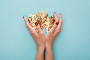 Wall Mural - cropped view of woman holding autumnal golden foliage on blue background