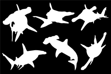 Wall Mural - Graphical set of hammerhead shark silhouettes isolated on black  background,vector sea food illustration,tattoo