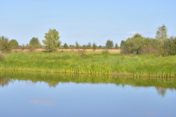 Canvas Print - River at sunny day.