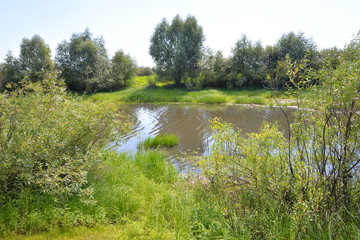 Canvas Print - River at sunny day.