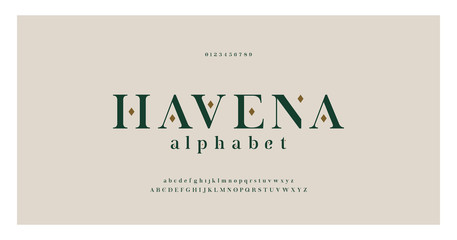 Elegant alphabet letters serif font and number. Classic Lettering Minimal Fashion. Typography fonts regular uppercase, lowercase and numbers. vector illustration