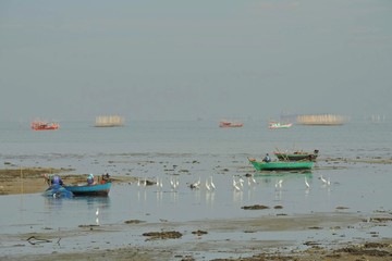 Wall Mural - fishing boats on the beach