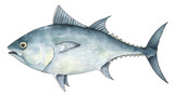 Fototapeta Łazienka - fish sea tuna watercolor pen isolated