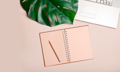 Wall Mural - Workplace with notepad and notebook, freelance work concept