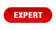 © Aquir - expert button. expert rounded red sign. expert