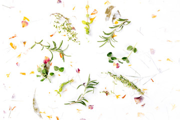 Wall Mural - The herbs of Provence. Rosemary, oregano, thyme, and marjoram, overhead shot on a background of dry leaves and petals, forming a frame with a place for text