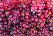 czerwone winogrona duża grupa tapeta