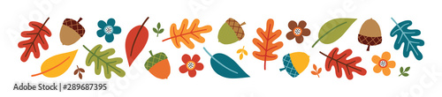 Fotomural Vector autumn or fall banner with colorful autumn leaves, acorns and flowers, isolated on white