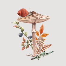 Watercolor Forest Mushroom Vector Composition