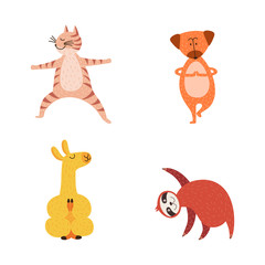 Wall Mural - Cute cartoon animals in yoga poses - hand drawn cat, dog, llama and sloth