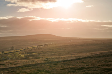 Wall Mural - distant views of the stone chimney's below the summit of bolts law in county durham.