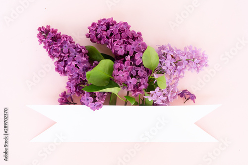 Fresh lilac flowers