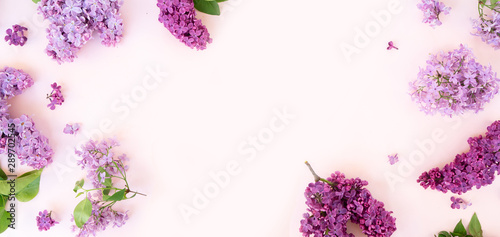 Fresh lilac flowers