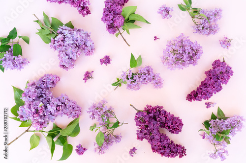 Fresh lilac flowers